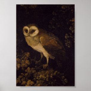 En Uggla av Moses Haughton den äldre Poster