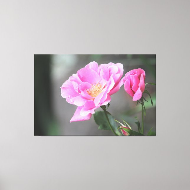 En underbar Rosa ros Canvas (Framsida)