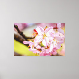 En underbar samling rosa Sakura-blommor på våren Canvastryck