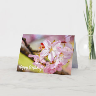 En undermålig flod av Rosa Sakura-blommor i Vår Kort