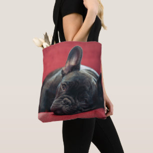 En ung fransk bulldogg som ljuger på en soffa tygkasse