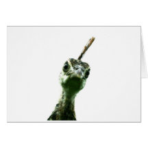 En ung fredsboskaps huvud som kissar över för att 