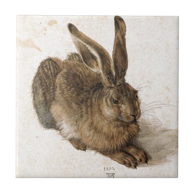 En ung Hare av Albrecht Durer Kakelplatta (Framsidan)