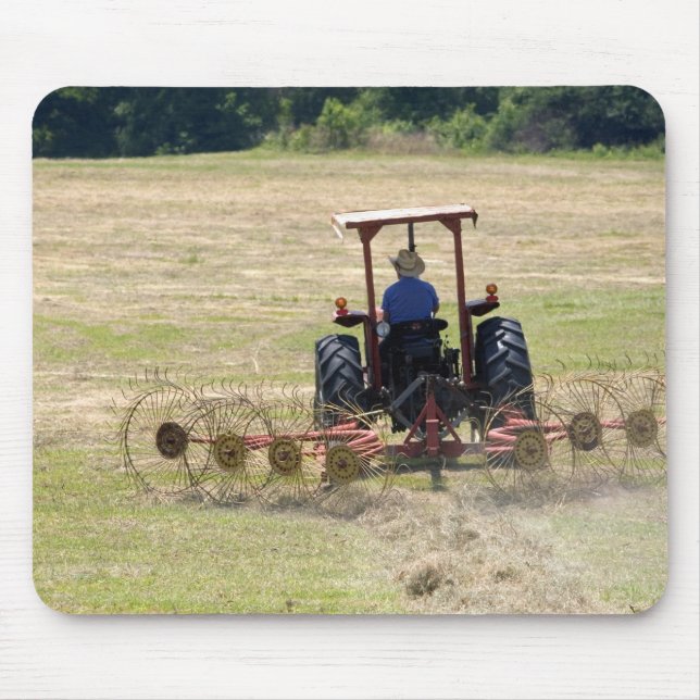 En ung pojke kör en traktor som skördar musmatta (Framsidan)