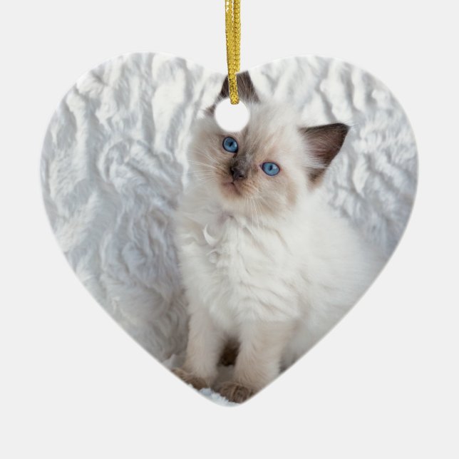 En ung ragdollkattsitta på päls i stol julgransprydnad keramik (Framsidan)