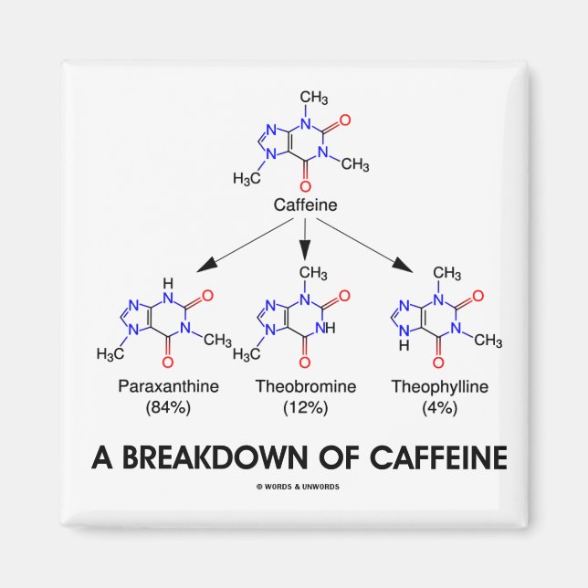 En uppdelning av koffein (kemiska molekyler) magnet (Framsidan)