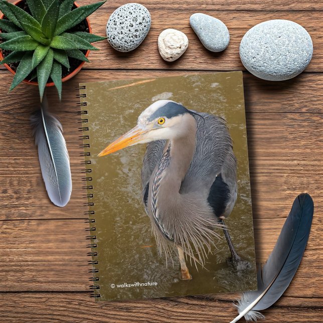 En uppifrån-och-ned-vy av en blå Heron Anteckningsbok (Top-Down View of a Great Blue Heron Journal Cover Photo)