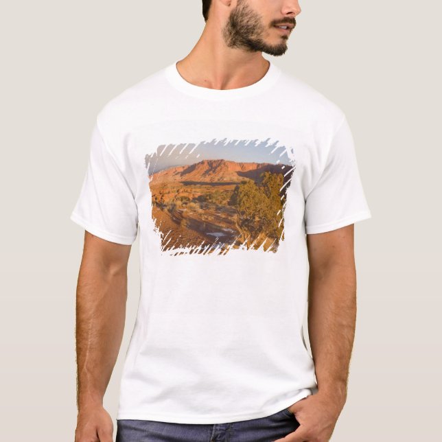 En Utah-en Juniper (Juniperus osteosperma) i 2 Tee Shirt (Framsida)