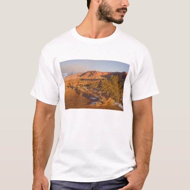 En Utah-en (Juniperus osteosperma) i 2 Tee Shirt (Framsida)