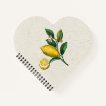 En utvidgad version av Lemon