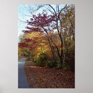 En vacker Arbor Poster