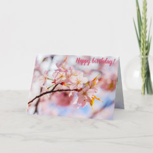 En vacker bunch av Sakura Flowers på Rosa Kort