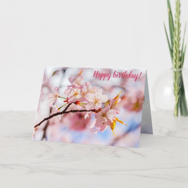 En vacker bunch av Sakura Flowers på Rosa Kort (Framsida)