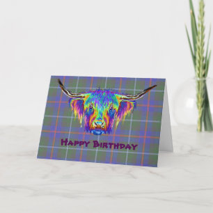 En vacker, färglös, höglandskost på tartan. kort