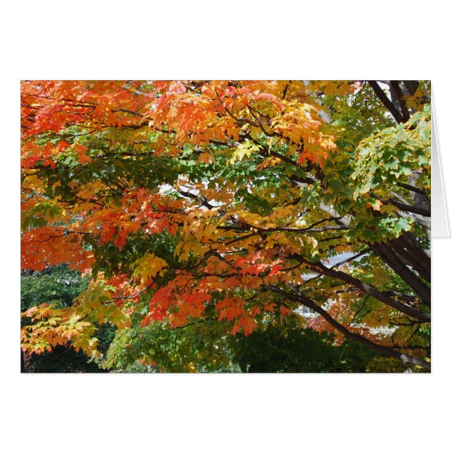 En vacker höstdag i Salem, MORSA OBS Kort (Framsidan Horizontal)