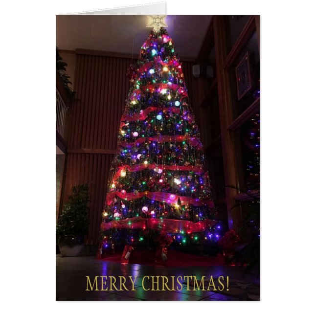 En vacker Julgran med reflektioner OBS Kort (Framsidan)