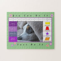 En vacker Rolig hund utbildning