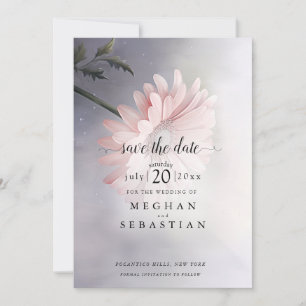 En vacker Rosa Daisy Spara Datumet