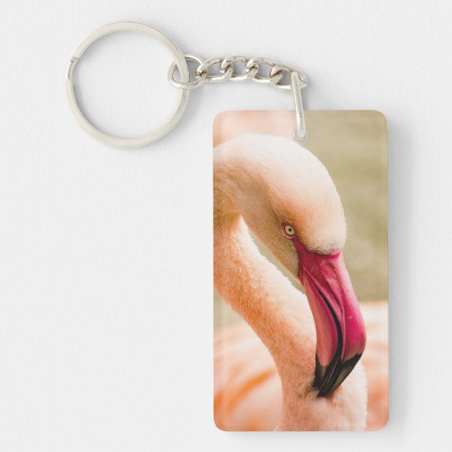 En vacker Rosa Flamingo (Framsidan)