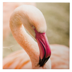 En vacker Rosa Flamingo Kakelplatta