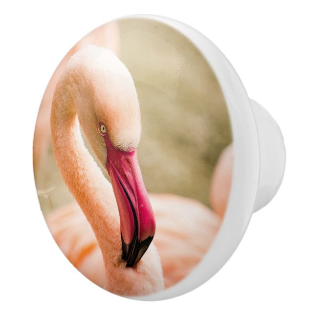 En vacker Rosa Flamingo Knopp (Höger)