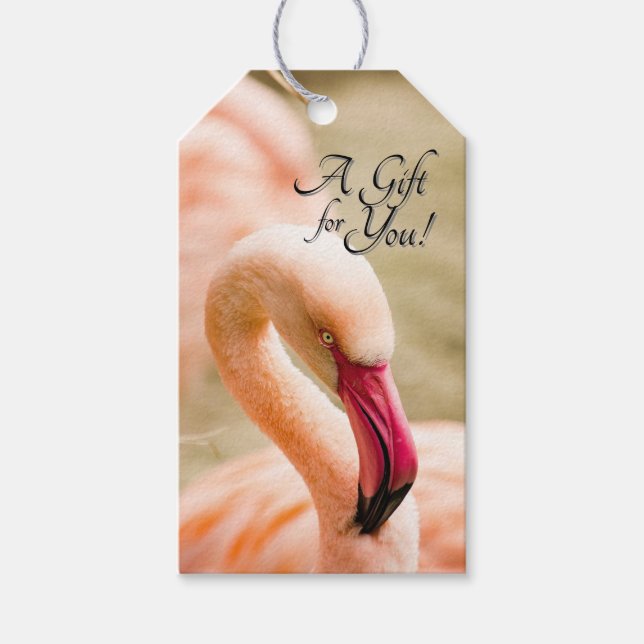 En vacker rosa flamingo  presentetikett (Framsidan)