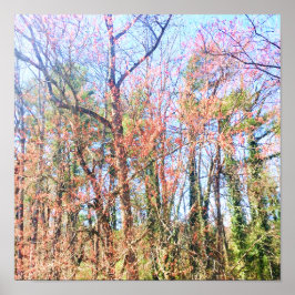 En vacker skogsplats i vår poster