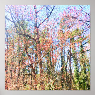 En vacker skogsplats i vår poster