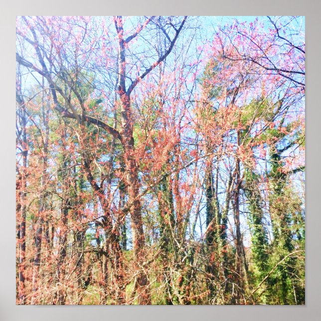 En vacker skogsplats i vår poster (Framsidan)