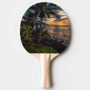 En vacker solnedgång 2 pingisracket