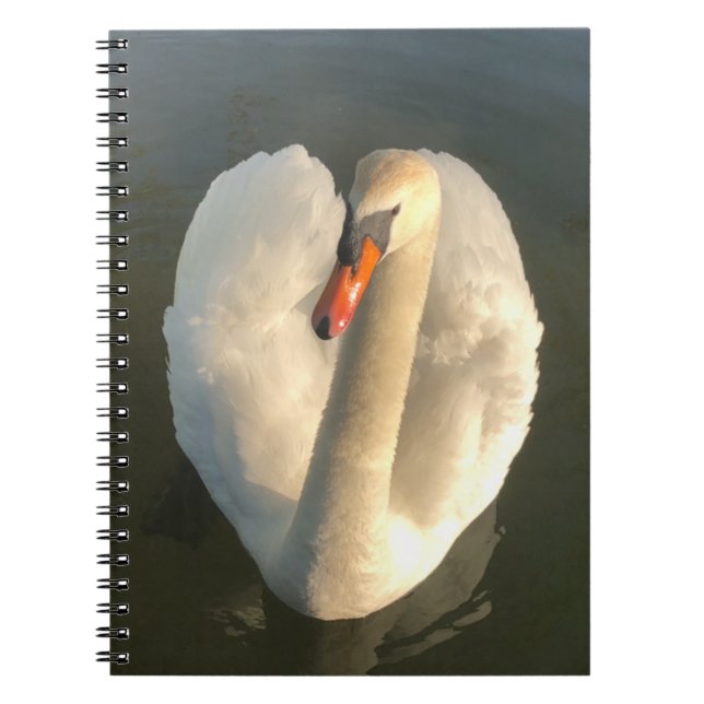 En vacker svan anteckningsbok (Framsidan)