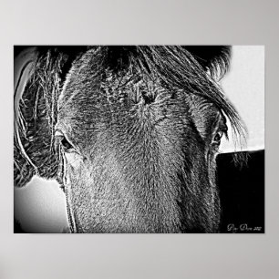 En vacker syn poster
