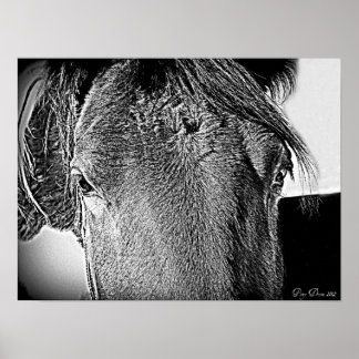 En vacker syn poster