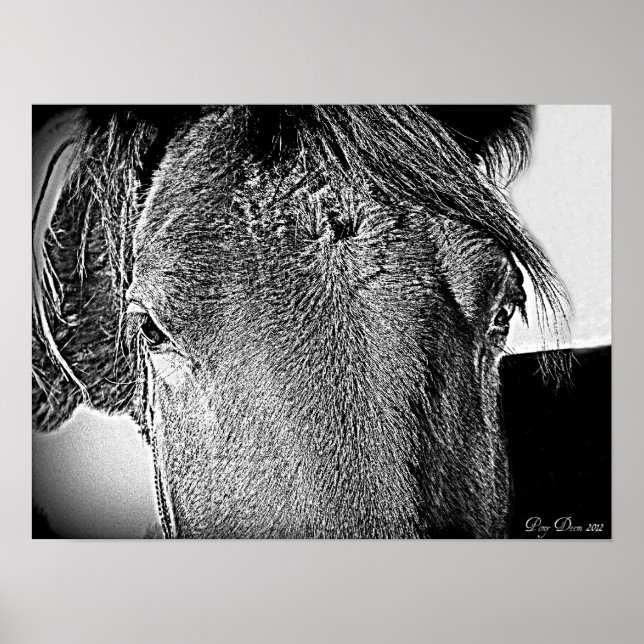 En vacker syn poster (Framsidan)