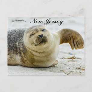En våg och en blinkning från en säl i New Jersey Vykort