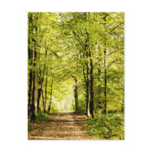 En väg som täcks av löv i en magicaskog