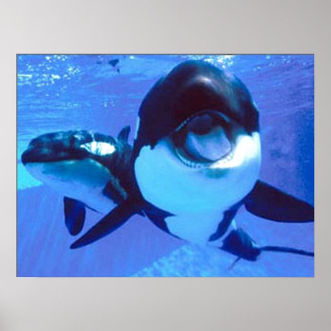 En val av tid poster (Framsidan)