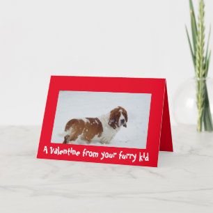 En valentin från hunden med en Bassethund Helgkort