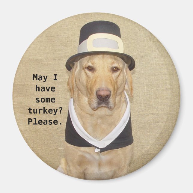 En välsignad pilgrim magnet (Framsidan)