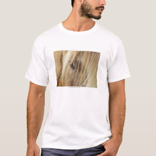 En vän för någonsin t shirt