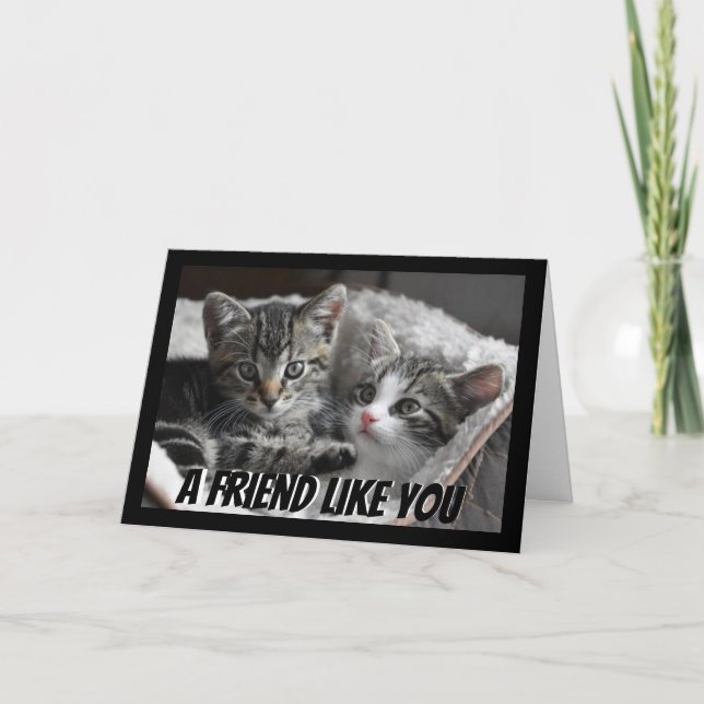 En vän som du Cute Kittens kattdjur Kort (Framsida)