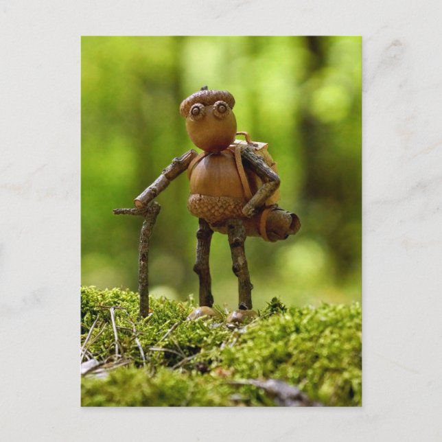 En vandrare på resa. Sommarcamping Vykort (Framsida)