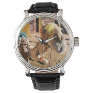 En vänlig kamel väntar på sin nästa ryttare, Kairo Armbandsur