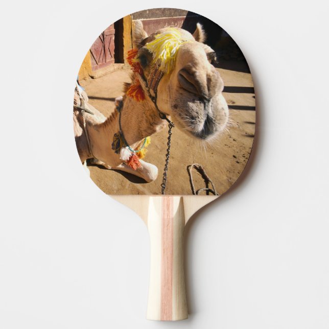 En vänlig kamel väntar på sin nästa ryttare, Kairo Pingisracket (Framsidan)