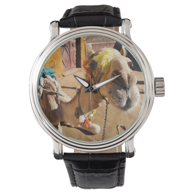 En vänskaplig kamel väntar på nästa ryttare, Kairo Armbandsur (Framsida)