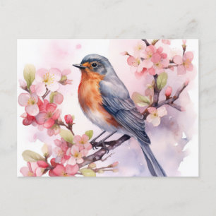 En Vår Robin bland Cherry-Blommarna. Vykort