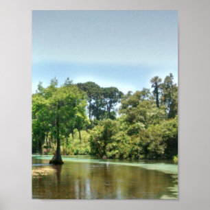 En vårflod i Weeki Wachee Florida Poster