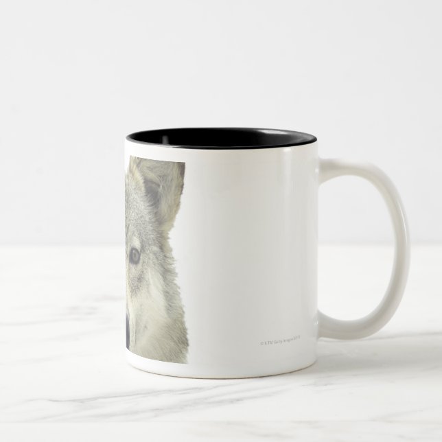 En varg Två-Tonad mugg (Höger)