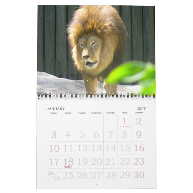 EN VÄRLD AV DJURkalendern Kalender (Jan 2027)