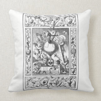 En värld av fåfänga kudder kudde